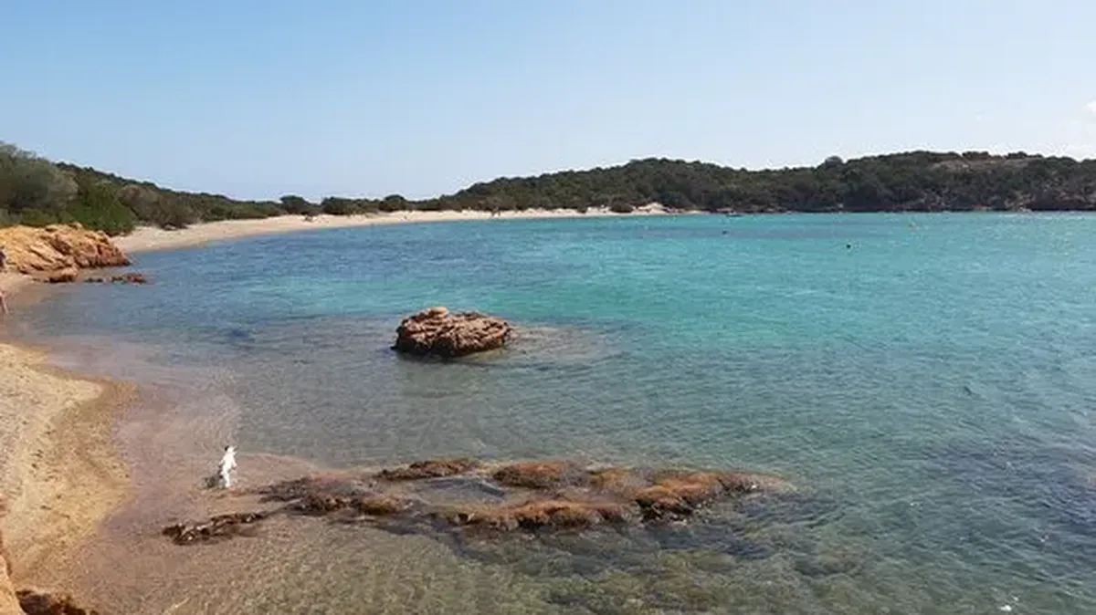Vue drone de la baie en forme de coquillage
