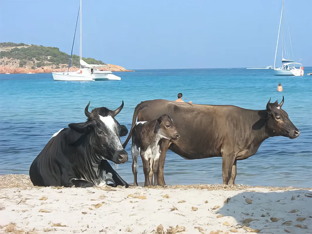 Détail du sable fin et blanc